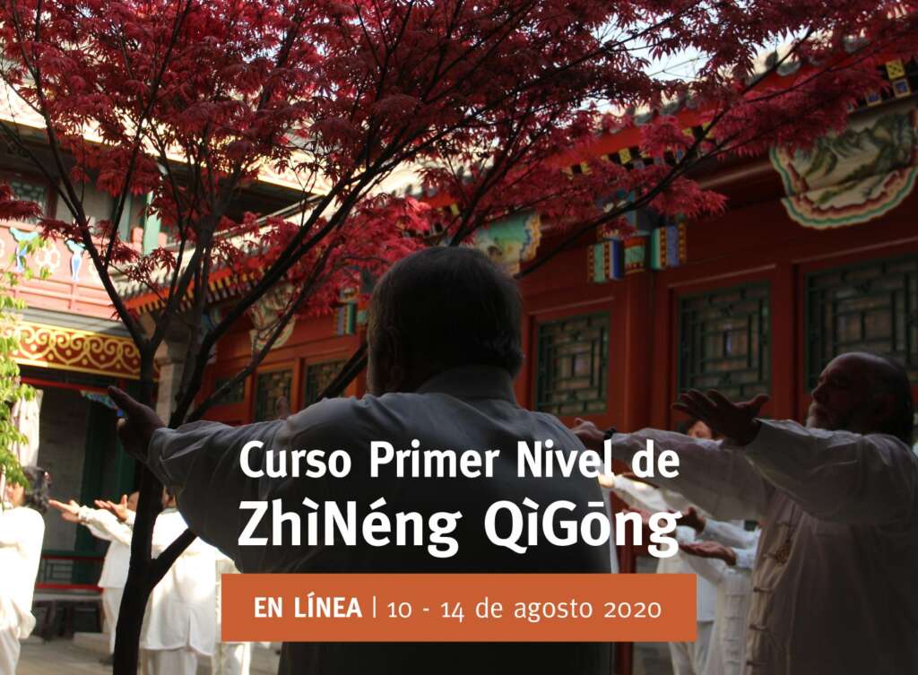 VZQ_anuncio 175 ENLINEA-03