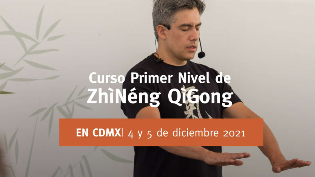 primer-nivel-dic-rec-web