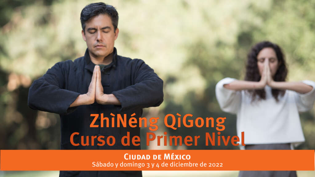 primer-nivelrect