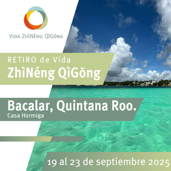 Retiro Bacalar cuadro