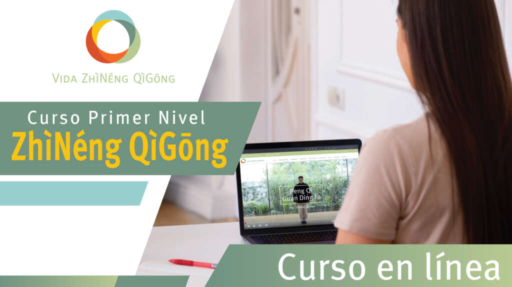 1er nivel virtual cabeza