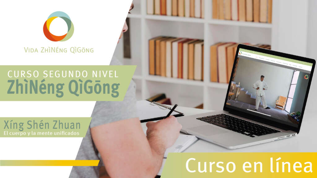 2do nivel virtual cabeza