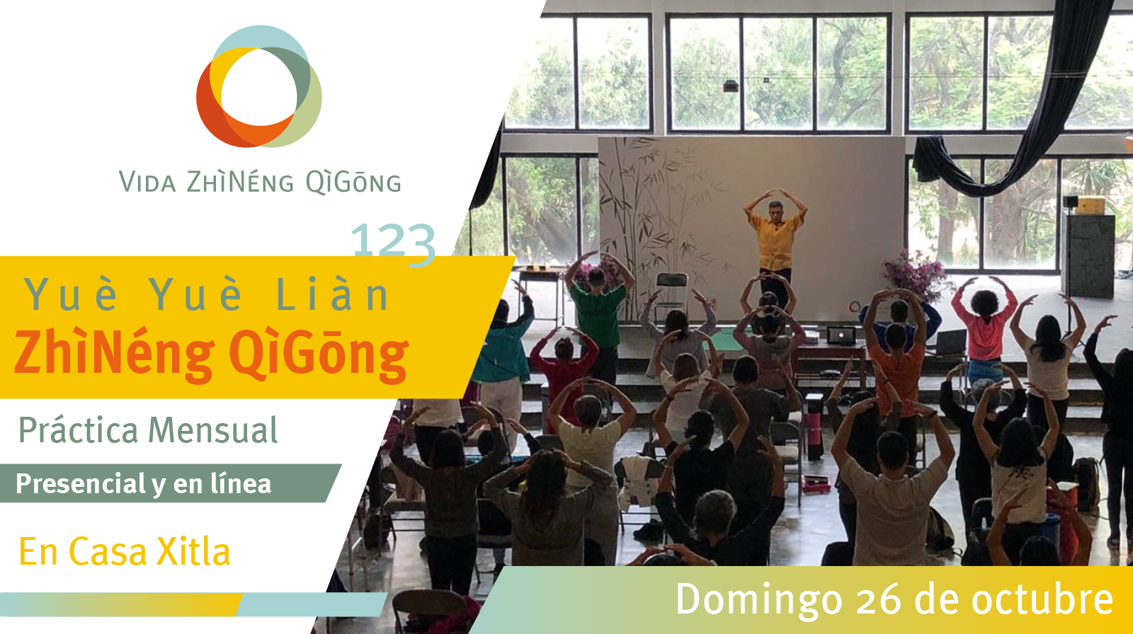 YYL 123 26 octubre 25 cabeza