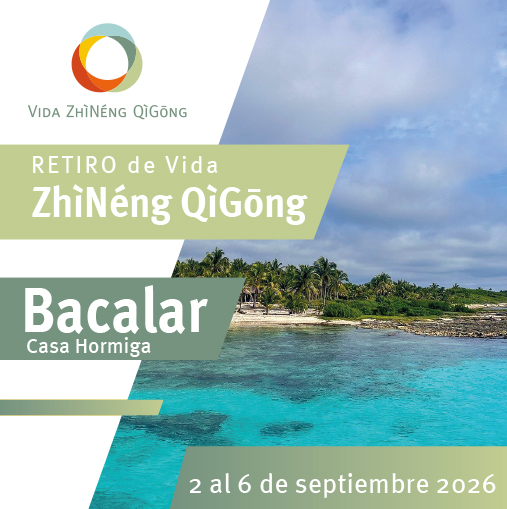 Bacalar retiro cuadro