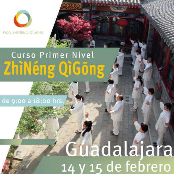 Primer nivel GDL cuadrado