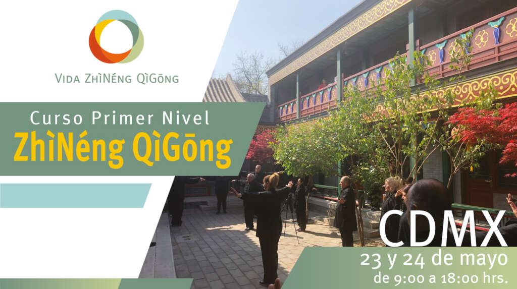 Primer nivel mayo cabeza