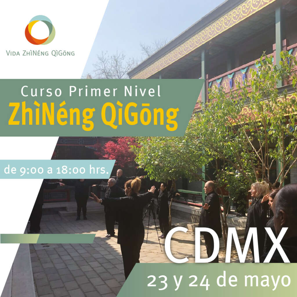 Primer nivel mayo cuadro