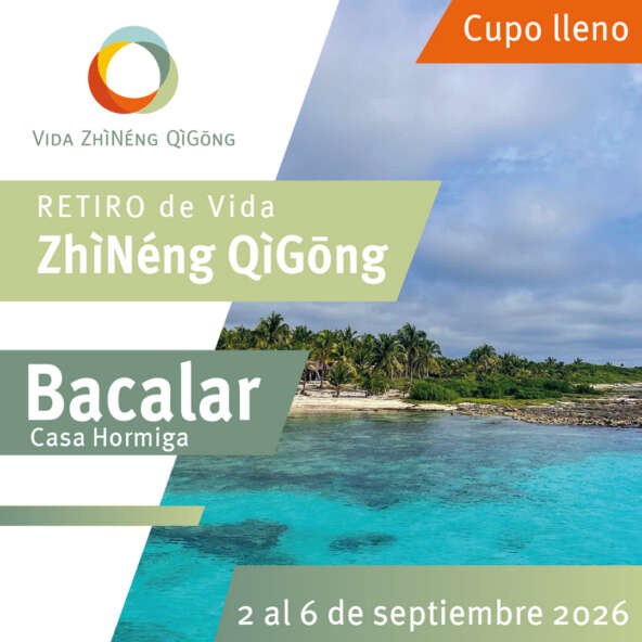 Retiro Bacalar cuadro