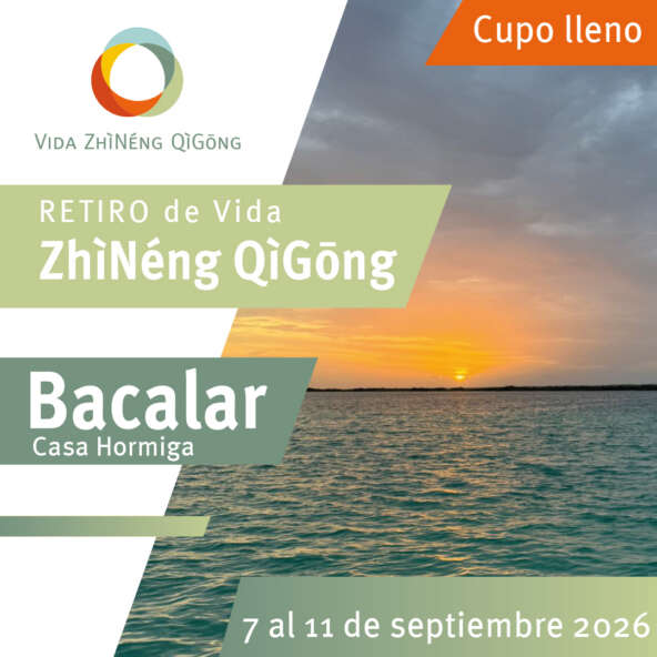 Retiro Bacalar cuadro Retiro Bacalar cuadro